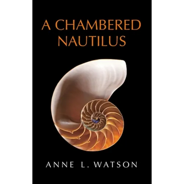 A Chambered Nautilus