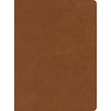 CSB He Reads Truth Bible, Saddle Leathertouch, Indexed