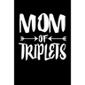 Mom Of Triplets: Family Collection