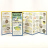 Wreck & Reef Fishes of Florida & Gulf of Mex.