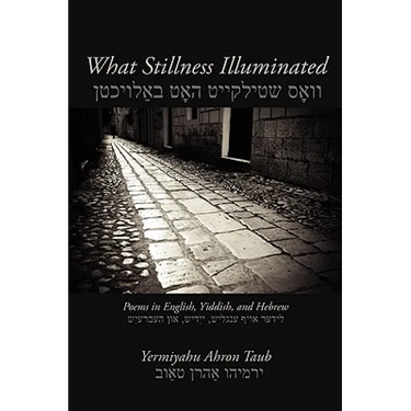What Stillness Illuminated: Poems in English, Yiddish, and Hebrew