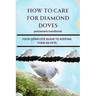How to Care for Diamond Doves: Your Complete Guide to Keeping Them as Pets