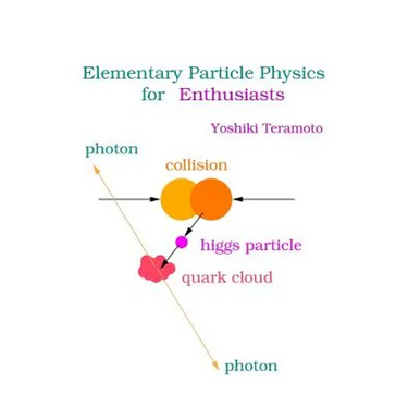 Elementary Particle Physics for Enthusiasts