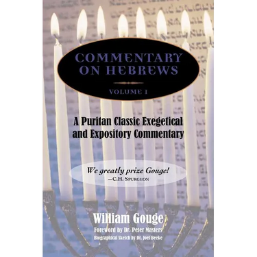 Commentary on Hebrews: Exegetical and Expository - Vol. 1 (Heb. 1-7)