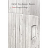 Hope Is a Small Barn