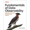 Fundamentals of Data Observability: Implement Trustworthy End-To-End Data Solutions