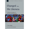 Changed Into His Likeness: A Biblical Theology of Personal Transformation Volume 55
