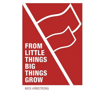 From little things big things grow: Strategies for building revolutionary socialist organisations
