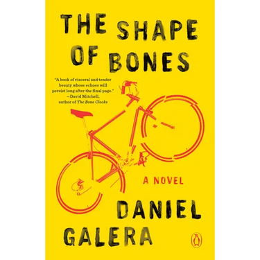 The Shape of Bones
