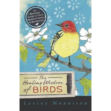 Healing Wisdom of Birds: An Everyday Guide to Their Spiritual Songs & Symbolism