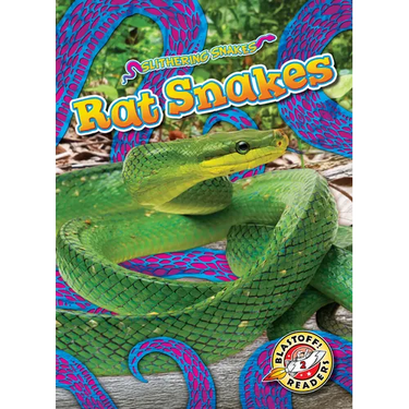 Rat Snakes