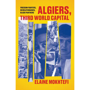 Algiers, Third World Capital: Freedom Fighters, Revolutionaries, Black Panthers