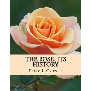 The Rose, Its History