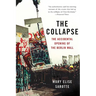 The Collapse: The Accidental Opening of the Berlin Wall
