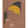 Seeking Abundance: Design, Ecology and a Flourishing Planet