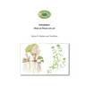 Interpret: RFS Book 4