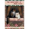 The Adventures of Peek-A-Boo and Princess Cheyenne