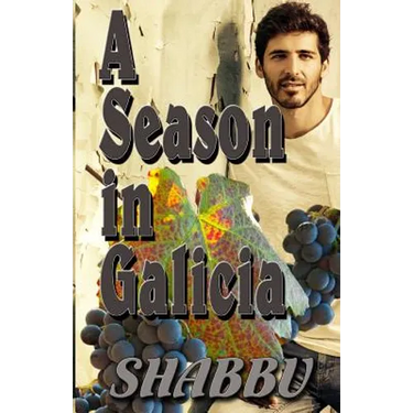 A Season in Galicia: A Story of Gay Love and Romance in Northern Spain