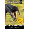 Giant Anteaters: Toothless Ant Predator