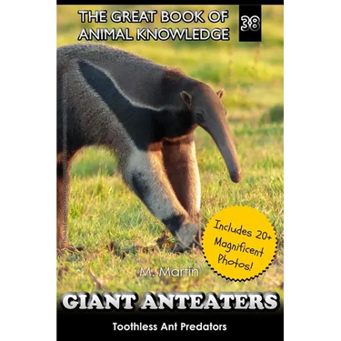 Giant Anteaters: Toothless Ant Predator