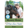 Mystery Horse at Oak Lane Stable