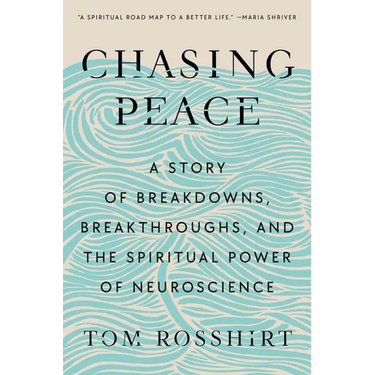 Chasing Peace: A Story of Breakdowns, Breakthroughs, and the Spiritual Power of Neuroscience