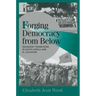 Forging Democracy from Below: Insurgent Transitions in South Africa and El Salvador