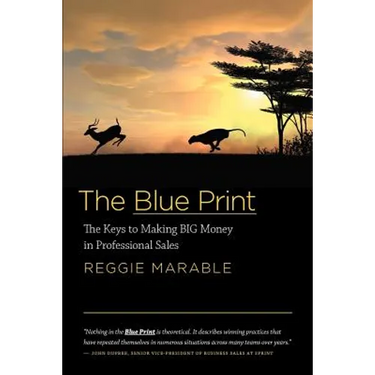 The Blue Print: The Keys to Making BIG Money in Professional Sales