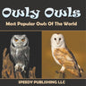 Owly Owls Most Popular Owls Of The World