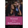 Wanted by the Billionaire: A Spicy Bully Novella