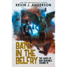Bats in the Belfry