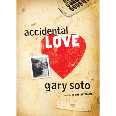 Accidental Love