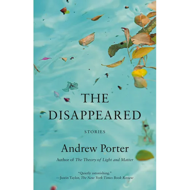 The Disappeared: Stories