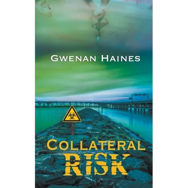 Collateral Risk