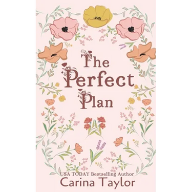 The Perfect Plan: A Small Town Romance