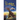 The Golden Harp