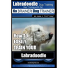 Labradoodle Training: Dog Training With the No BRAINER Dog TRAINER "We Make it That Easy" How to EASILY Train Your Labradoodle