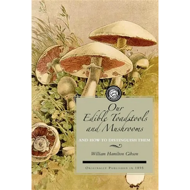 Our Edible Toadstools and Mushrooms: And How to Distinguish Them