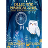 Ollie the Magical Owl: The Dream Catcher