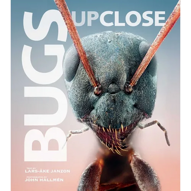Bugs Up Close: A Magnified Look at the Incredible World of Insects