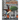 Little Birdie Goes to School: A Story Based on True Events