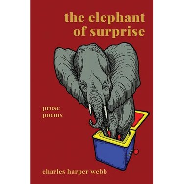 The Elephant of Surprise