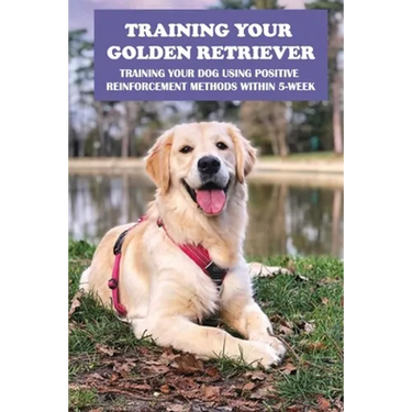 Training Your Golden Retriever: Training Your Dog Using Positive Reinforcement Methods Within 5-Week: Benefits Of Positive Reinforcement