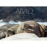 Aiviq: Life with Walruses