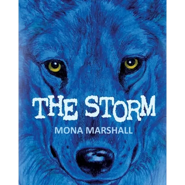 The Storm