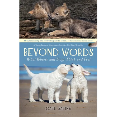 Beyond Words: What Wolves and Dogs Think and Feel (a Young Reader's Adaptation)