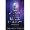 The Wizard of Black Hollow