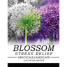 Blossom Stress Relief GRAYSCALE Landscape Coloring Books Volume 1