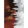 Botsotso 20: Drama: The Dramas of Life