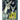 Ahtu